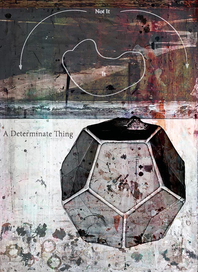A Determinate Thing by Thomas Van Housen