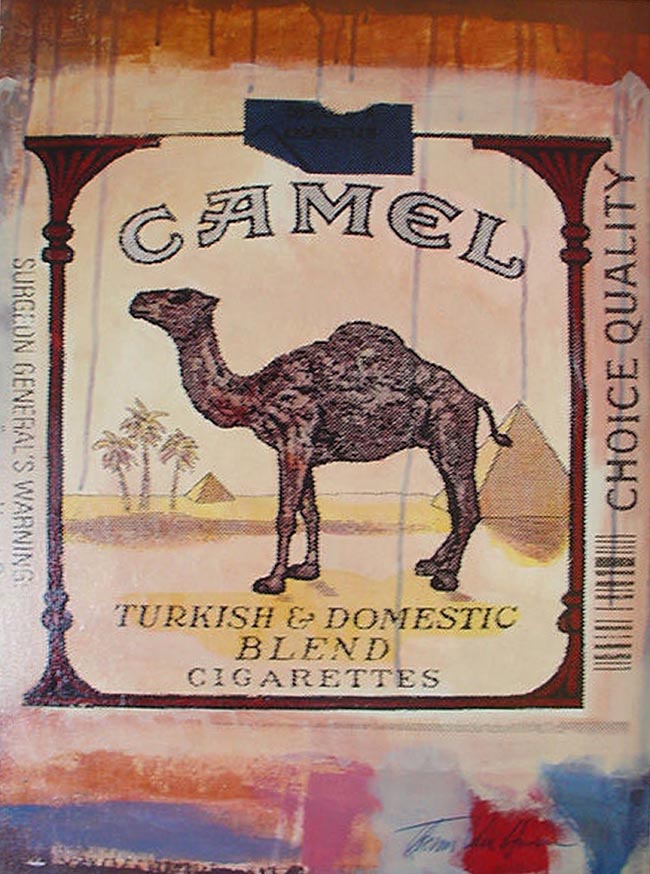 Camel by Thomas Van Housen