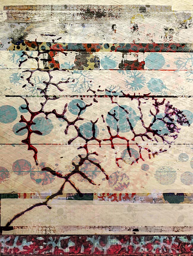 Carmel by Thomas Van Housen