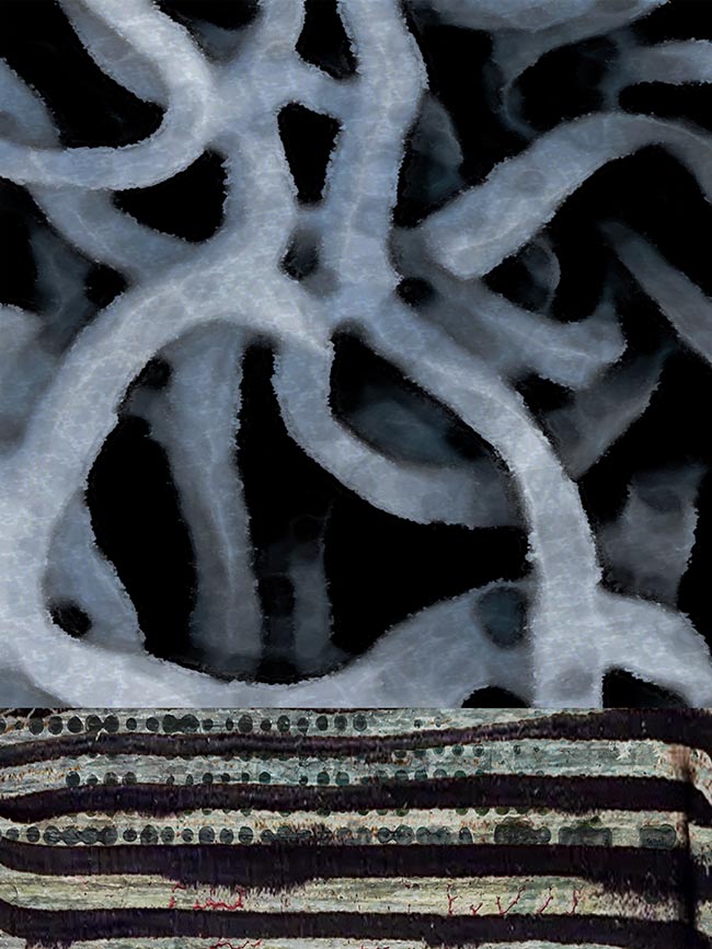 Conway's Knot by Thomas Van Housen