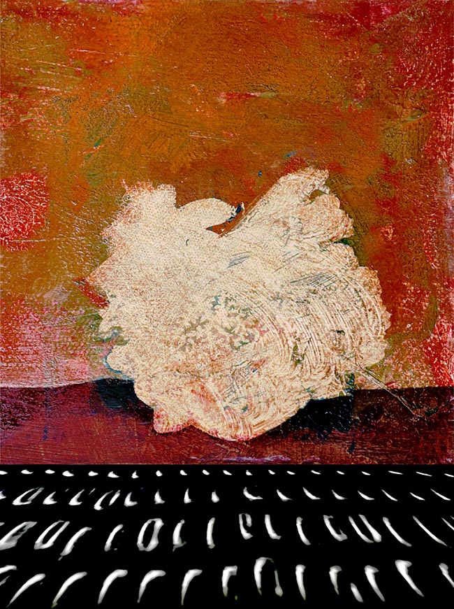 Flake by Thomas Van Housen