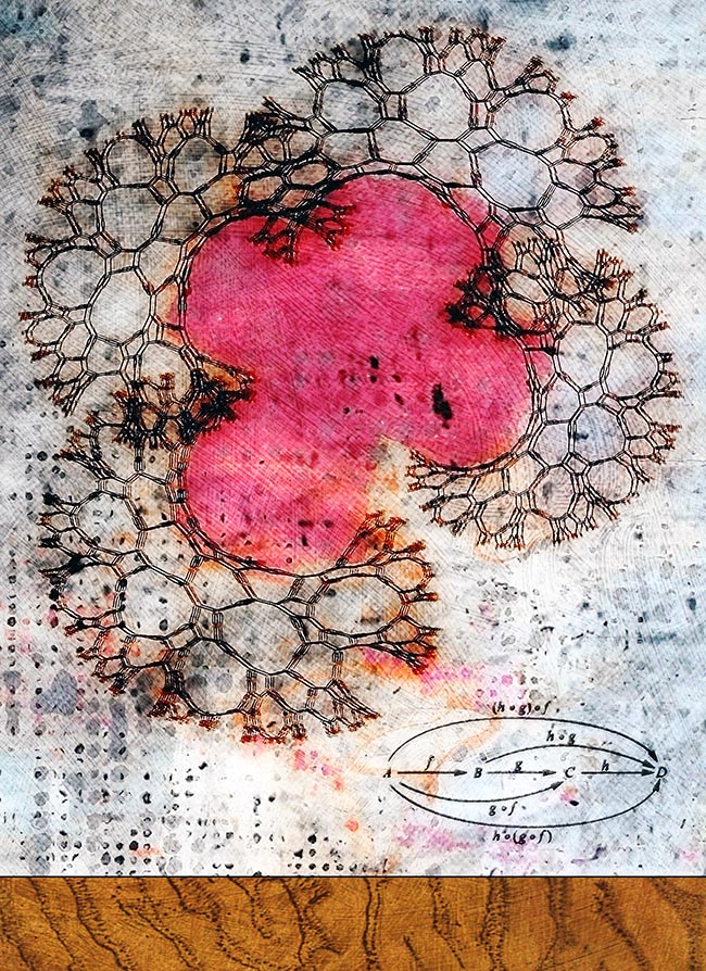 Groupoid by Thomas Van Housen