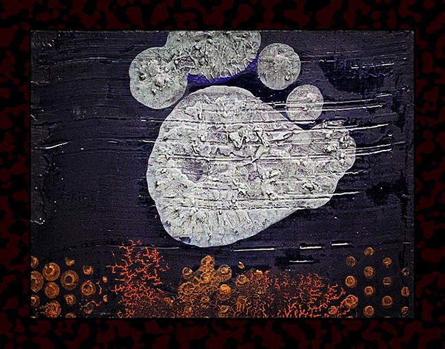 Mushotoku by Thomas Van Housen