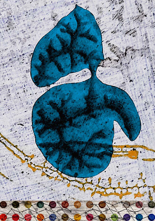 Narrow by Thomas Van Housen