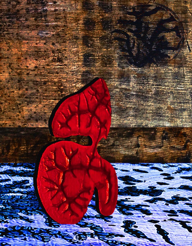 Stream Entrant by Thomas Van Housen